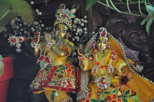 maharajas-room-2012_26