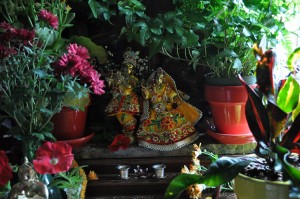 maharajas-room-2012_28
