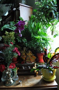 maharajas-room-2012_29