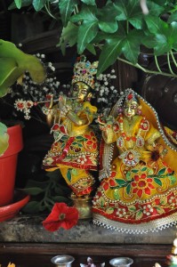 maharajas-room-2012_30