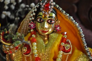 maharajas-room-2012_34