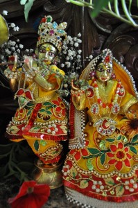 maharajas-room-2012_37