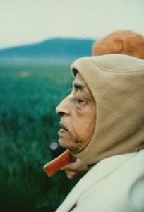 227-sdg-srila-prabhupada