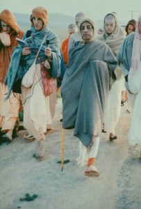 517-sdg-srila-prabhupada